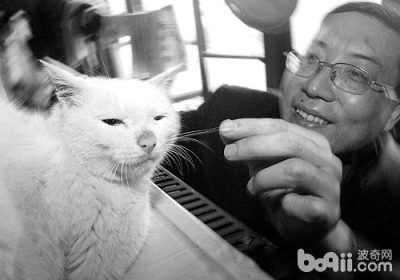 你是否了解关于猫咪救人的奇闻？缩略图