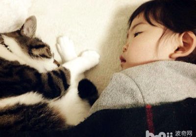 与猫咪同眠可取吗？缩略图