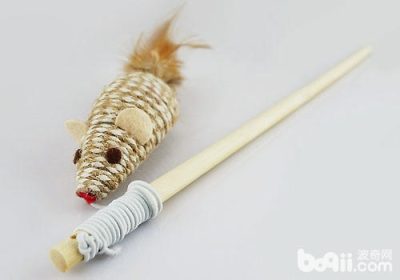如何正确使用逗猫棒缩略图