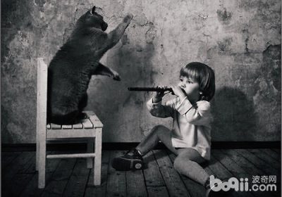 从小开始训练猫咪是否为最佳选择？缩略图