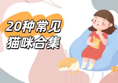 20种流行的猫品种，你心仪哪一种？缩略图