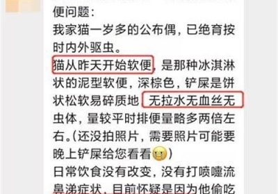 猫儿突发稀便，呈现棕红软质，是否需就医咨询？缩略图