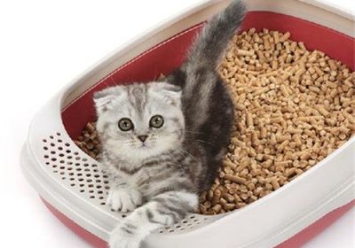 选购猫砂盆时应注意什么？缩略图