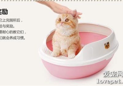是否应选用完全密闭式的猫砂盒？缩略图