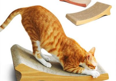 猫玩具中的人气冠军是哪一款？缩略图