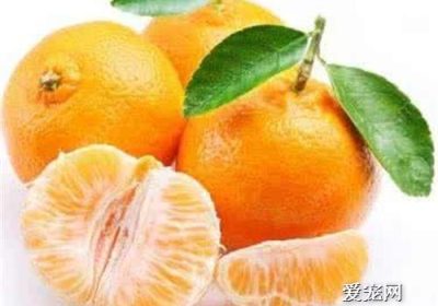 猫咪可以吃橘子吗？缩略图