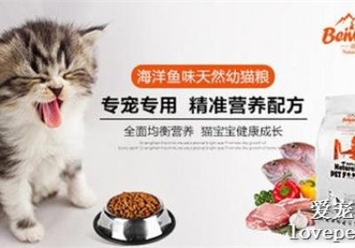 猫狗食品成分对比研究缩略图