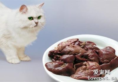 猪肝对猫咪来说是否适宜食用？缩略图