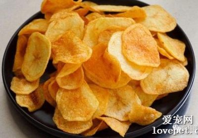 猫咪是否适合食用薯条和薯片？缩略图
