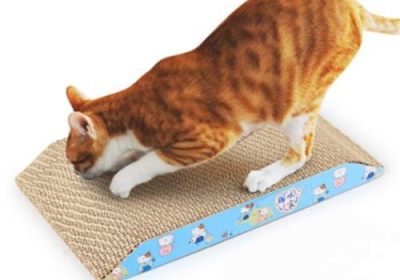 为何猫猫需要定期磨爪？缩略图