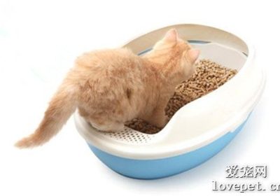 如何安排猫砂盆的清理频率与猫砂的适宜量？缩略图