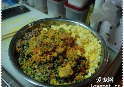如何自制健康猫粮缩略图