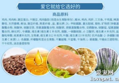 猫咪猫粮选择的最佳策略缩略图