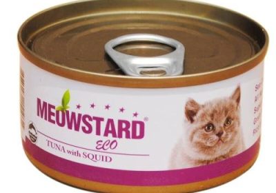猫罐头的保鲜技巧缩略图