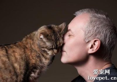 猫咪偏好哪类人类？揭秘如何赢得喵星人的喜爱缩略图